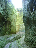Via Cava